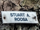 Roosa, Stuart A (id=9586)